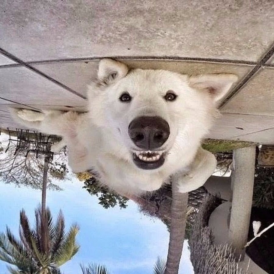   ,    