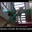 ���� ���������, ������, 65 ��� - ��������� 5 ��� 2017 � ������ ������ ��������