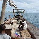 ���� ��������, �������, 74 ���� - ��������� 23 ��� 2017 � ������ �������.��������.��������.(04.2017.)�