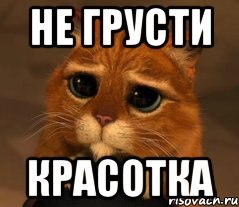���� ��������, �����, 42 ���� - ��������� 31 ���� 2017