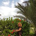 ���� �����, ����������, 59 ��� - ��������� 19 �������� 2017 � ������ ���� ����������