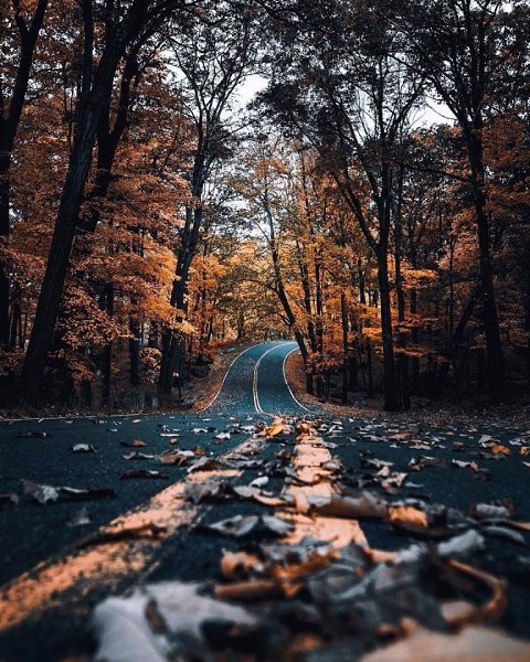 ����������: �����, �����, �����... - 3