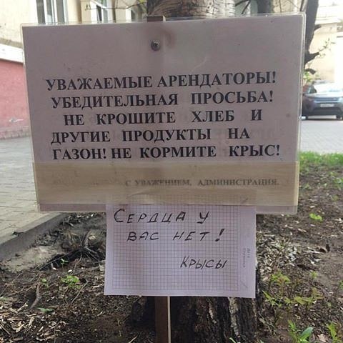 ����� - 6 ���� 2017 � 19:00