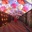 ����� �������� �� ������� ���� ����������