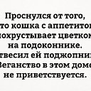 ���� ��������, ��������� - ��������� 13 ������� 2017 � ������ ������ ��������