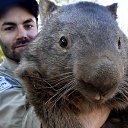 ���� ������, ������ - ��������� 31 ������� 2017 � ������ �������