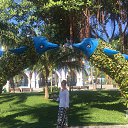 ���� Gala, ������ - ��������� 17 ������� 2017 � ������ �������� 2017 ������