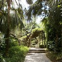 ���� �������, �������, 50 ��� - ��������� 2 �������� 2017 � ������ ������