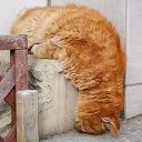 ���� ��������, �����, 46 ��� - ��������� 26 ���� 2017 � ������ ���� ����������