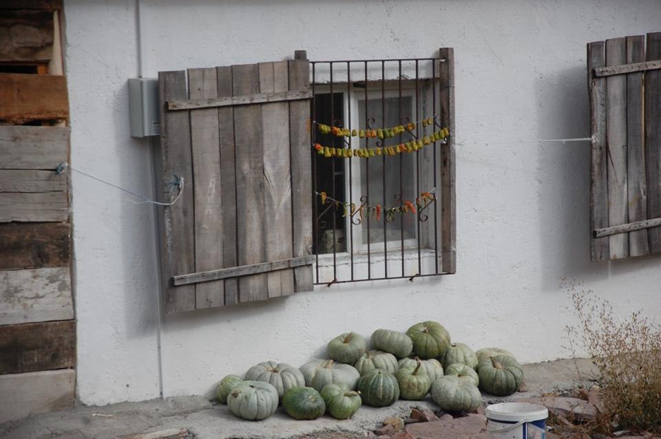 Pevril - 17 ������� 2017 � 09:18 - 11