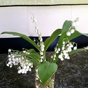 ���� Chudo, �����, 47 ��� - ��������� 4 ���� 2017 � ������ ������ ��������