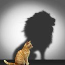 ���� �����, ��������� - ��������� 11 ��� 2017 � ������ ������ ��������