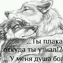 ���� ���������, ������, 57 ��� - ��������� 19 ���� 2017 � ������ ���� ����������