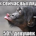 ���� ������, �����, 52 ���� - ��������� 21 �������� 2017 � ������ ���� ����������