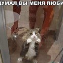 ���� Liliya, �������� - ��������� 20 ��� 2017 � ������ ������������ ����� ������