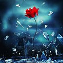 ���� �����, ������, 54 ���� - ��������� 16 ���� 2017 � ������ ������ ��������