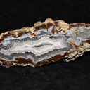 ���� ������, �����-��������� - ��������� 25 ������ 2017 � ������ �����������