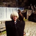  , , 56  -  8  2017    2017