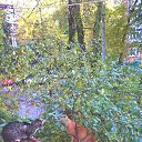 ���� ���������, ������� �����, 47 ��� - ��������� 13 ������ 2017 � ������ ���� ����������