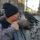 ���� �����, ������, 44 ���� - ��������� 11 ������ 2017 � ������ ������ ��������