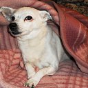 ���� �������, ��������, 41 ��� - ��������� 5 ������ 2017 � ������ �2�