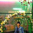 ���� �@�@���, ���� - ��������� 5 ���� 2017 � ������ ���� ����������