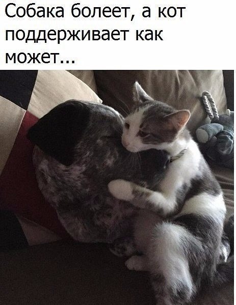 ������ - �����, ���� - 14 ������� 2017 � 03:29