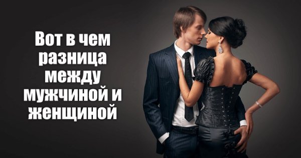 Вот в чем разница между мужчиной и женщиной.Забавный и ироничный взгляд на разницу внутреннего мира ...
