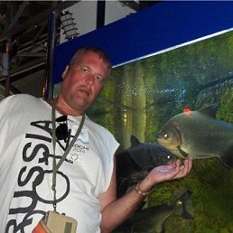 ���� �������, ���������, 49 ��� - ��������� 21 ���� 2017