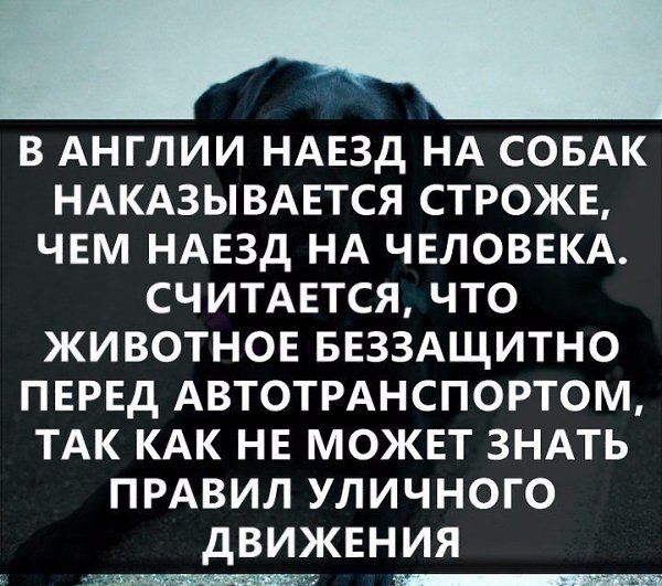 �� �� �������� ! - 13 ������� 2017 � 07:25