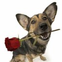 ���� Ira, ������������ - ��������� 20 ���� 2017