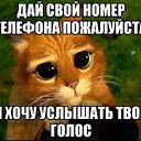 ���� �������, �������, 39 ��� - ��������� 26 �������� 2017 � ������ ���� ����������