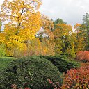 ���� ���������, �����-���������, 71 ��� - ��������� 13 ������� 2017 � ������ ������ ��������