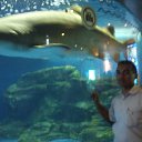 ���� ������, �������, 46 ��� - ��������� 5 �������� 2017 � ������ ���� ����������