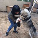 ���� ����, ������������, 49 ��� - ��������� 10 �������� 2017 � ������ ���� ����������