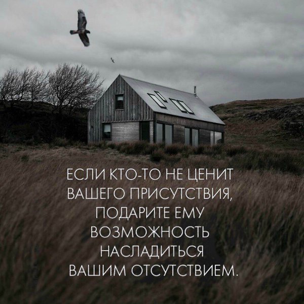 IQ Blog: , , ,  - 6  2017  08:06