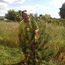 ���� ������, ��������, 55 ��� - ��������� 5 ������� 2017 � ������ ���� ����������