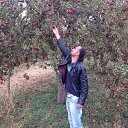 ���� Sadettin, �������, 44 ���� - ��������� 1 ������� 2017 � ������ ���� ����������