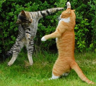 ))).   "  "...     ,    ...