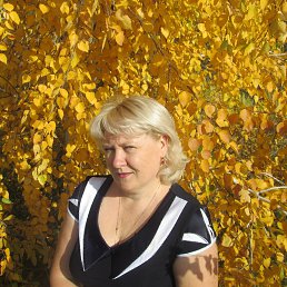 �����, ��������, 49 ���