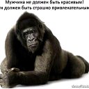 ���� ������, ����������, 62 ���� - ��������� 29 ������� 2017 � ������ ���� ����������