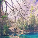 ���� �����, ����� ������ - ��������� 20 ���� 2017 � ������ ���� ����������