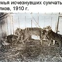 ���� Petr, �����, 63 ���� - ��������� 26 ��� 2017 � ������ ������ ��������