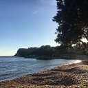 ���� �����, ������, 55 ��� - ��������� 18 ������ 2017 � ������ ���� ����������