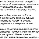 ���� �����, �����������, 43 ���� - ��������� 23 ������� 2017 � ������ ������ ��������