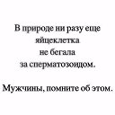 ���� ����, ������ - ��������� 11 ������ 2017 � ������ ������ ��������