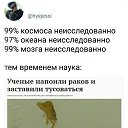 ���� Poligon, �����, 32 ���� - ��������� 4 ������� 2017 � ������ ������ ��������