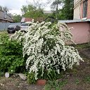 ���� Lina, ������ - ��������� 30 ���� 2017 � ������ ������ �������