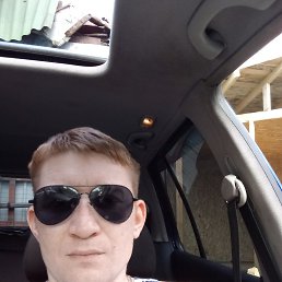 ��������, �����-���������, 41 ���