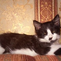 ���� ������, ����� - ��������� 18 ������ 2017